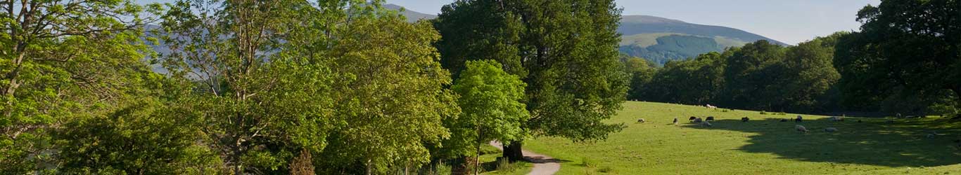 Property in Cumbrian countryside