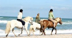 Equestrian and Waterfront Property Finders in the UK